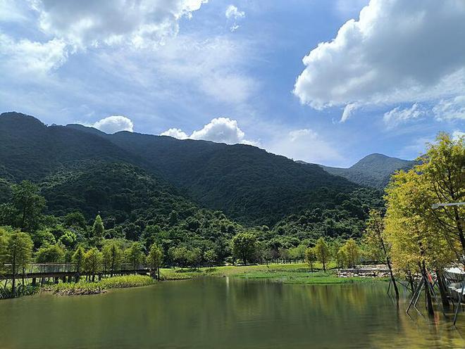 麦子奶奶的故事：收获之后的新旅程